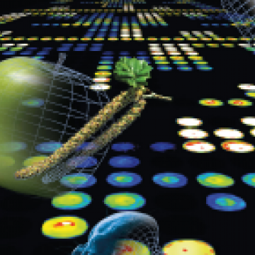 Molecular Diagnostics in Practice